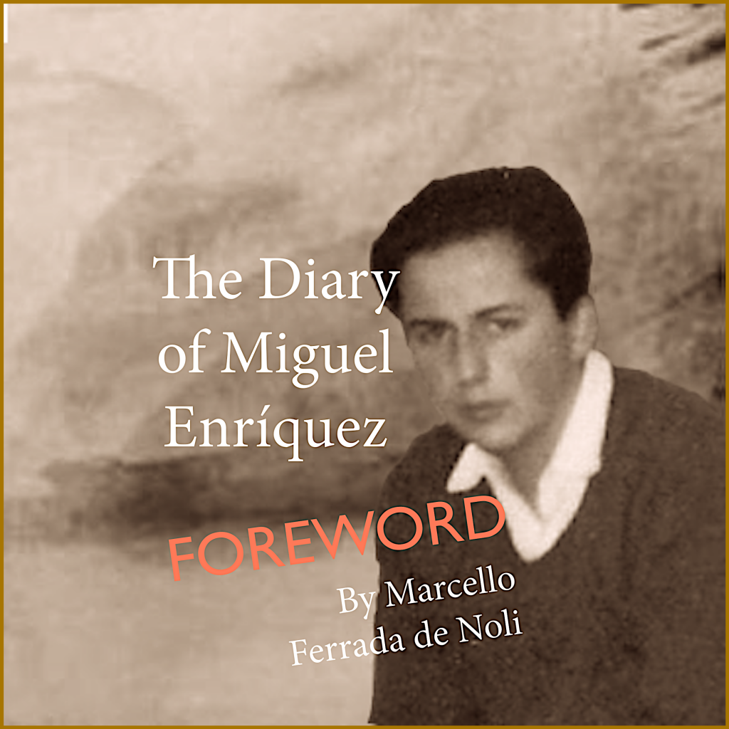 Back to Seventeen. On the Diary of Miguel Enríquez
